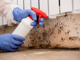 Best Water Damage & Mold Remediation  in Ferguson, MO